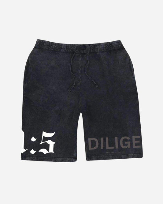 21:5 VINTAGE DILIGENCE SHORTS