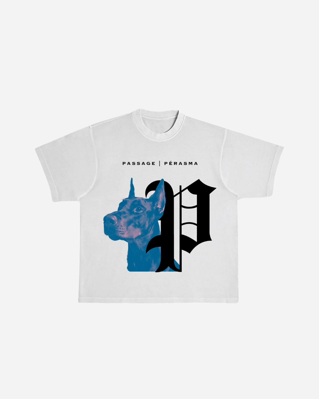 21:5 CEMENT DOBERMAN TEE